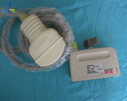 PVM-375AT Convex Ultrasound Transducer Abdominal Scan Test
