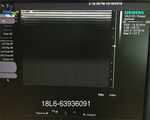 Acuson 18L6 HD Linear Ultrasound Scanner Probe Sonography Goods